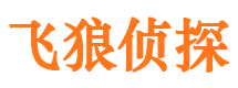 高青飞狼私家侦探公司